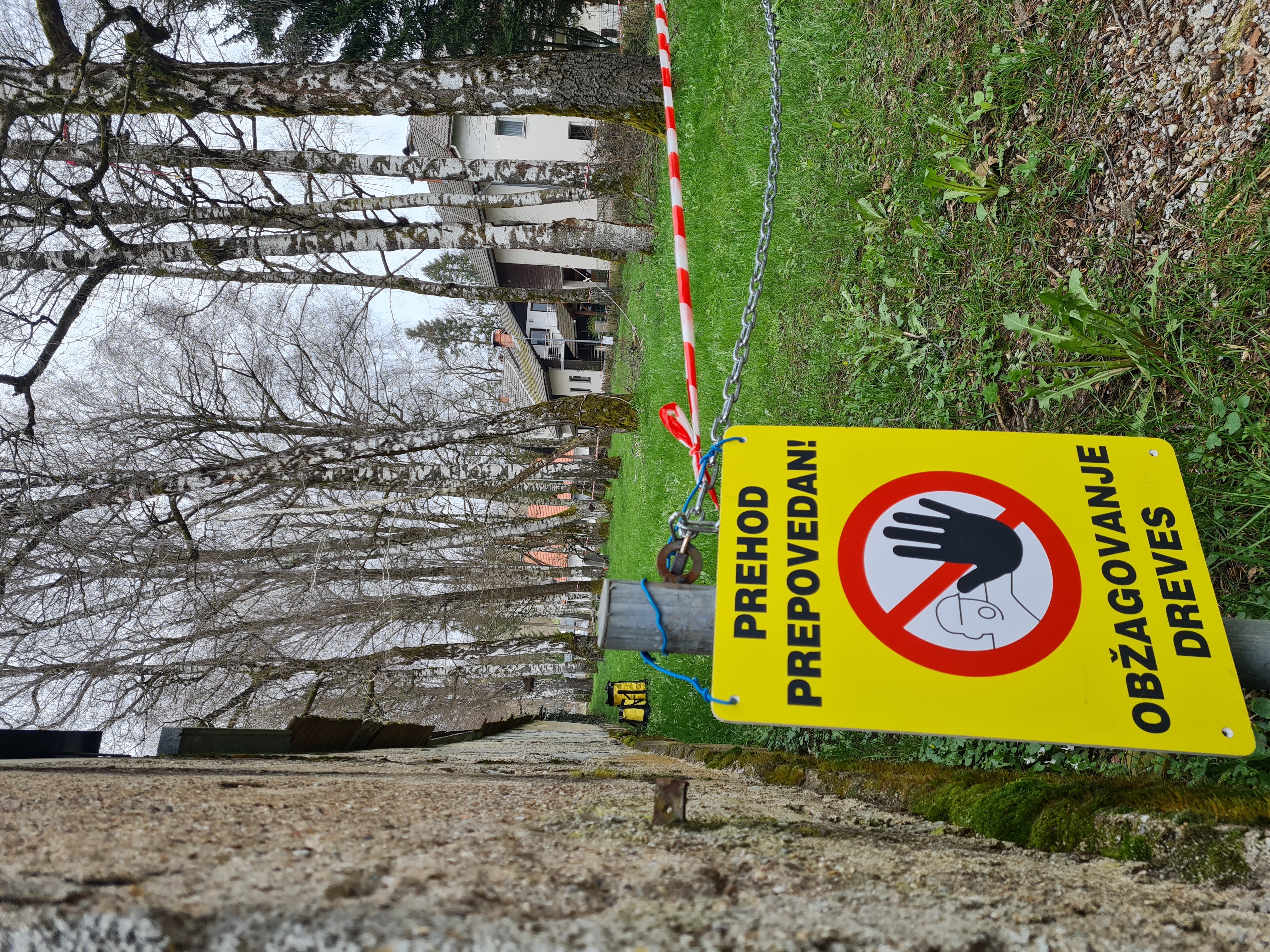 Urejanje brez, vojno grobišče 1